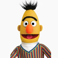 google-bert